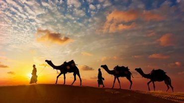 Discovering the Royal Heritage: Exploring Rajasthan with Jee Tours and Travels