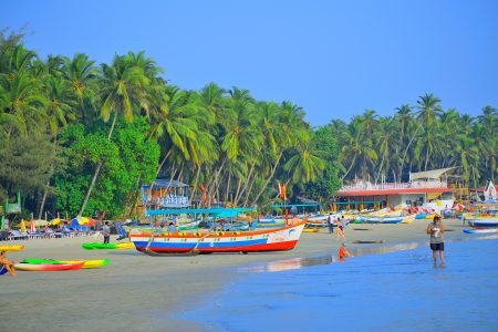 Private Transport 11-Day Golden Triangle Tour With Goa