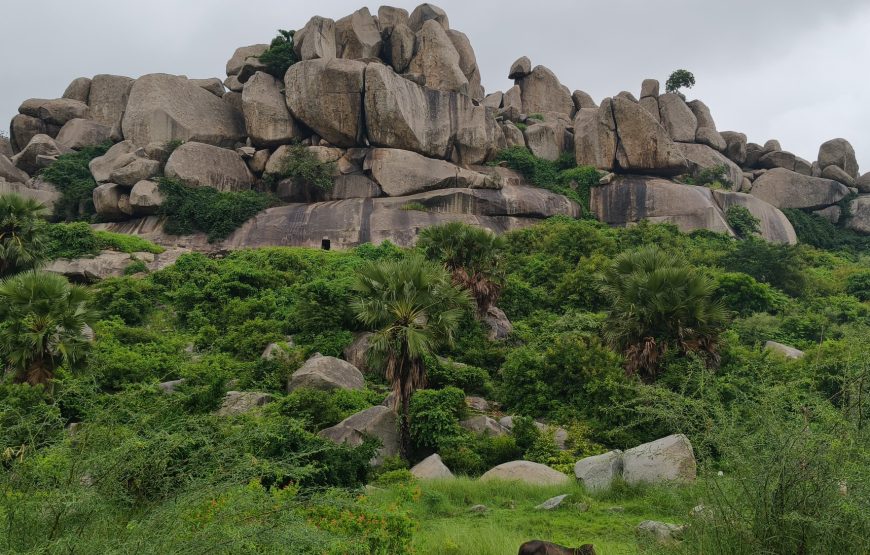 A Day Trip of Barabar Caves from Patna with Local Guide